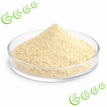 Tonerde grün Illite 500 g